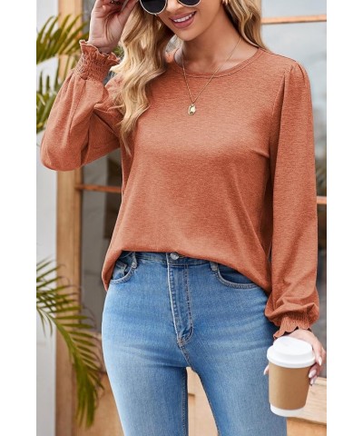 Womens Shirts Long Sleeve Tops Crew Neck Ruffle Dressy Casual Blouse Loose T Shirts Red $11.25 Blouses