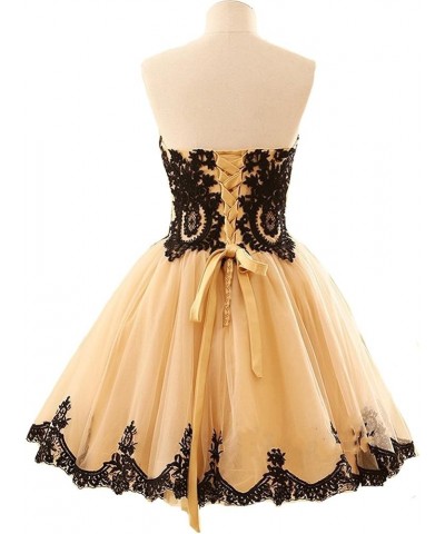 Short Tulle Vintage Black Lace Gothic Prom Homecoming Cocktail Party Dresses Silver $40.95 Dresses