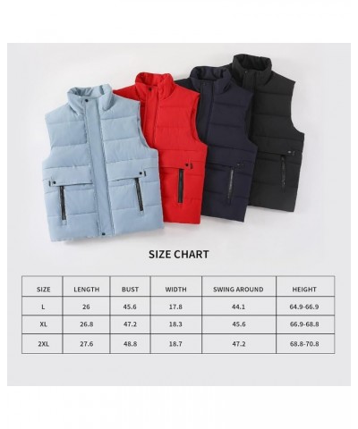 Women's Puffer Vest Casual Sleeveless Lightweight Outerwear for Winter Stand Collar Zip Up with Pockets Blue $14.26 Vests